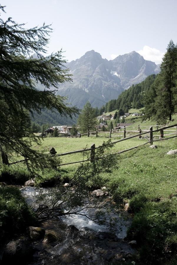 Hotel Alpengasthof Crusch Alba Ed Alvetern, S-charl Scuol