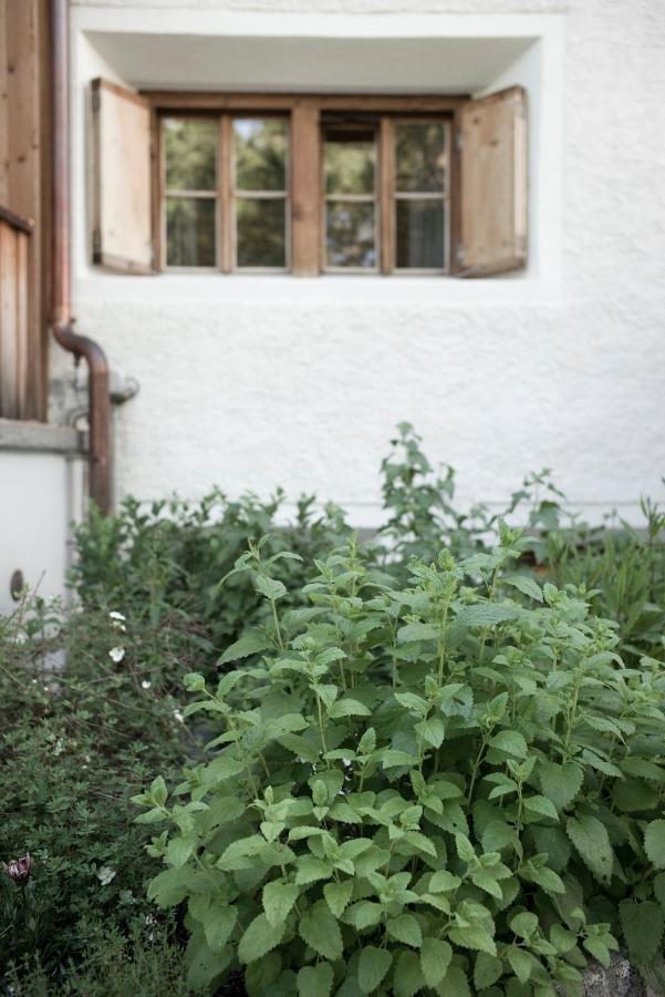 Hotel Alpengasthof Crusch Alba Ed Alvetern, S-charl Scuol